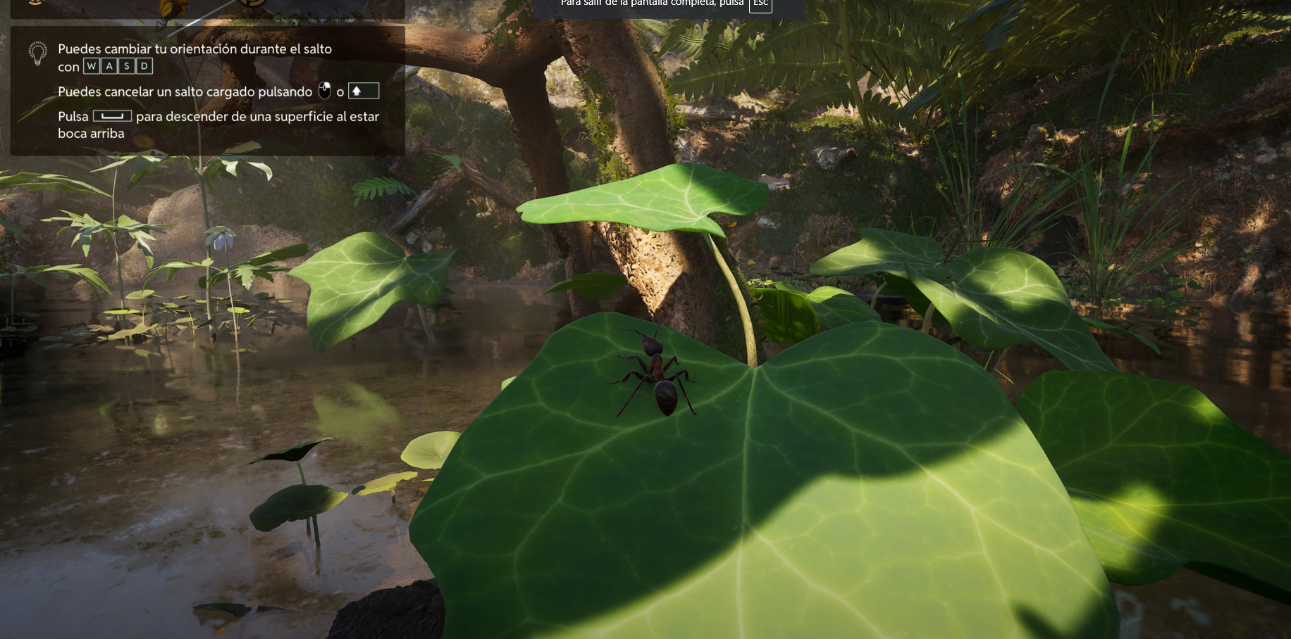 imagen del juego empire of ants
