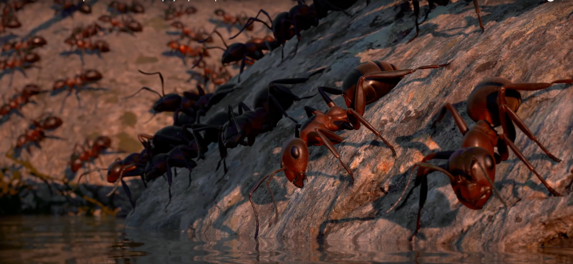 imagen del juego empire of ants