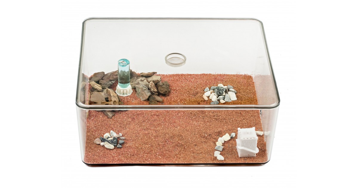 caja de forrajeo